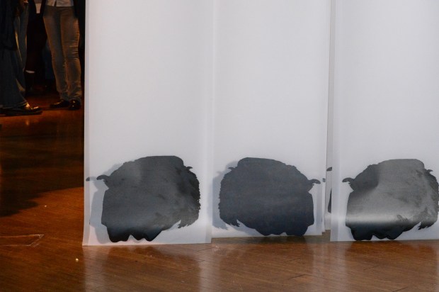 Lapse_detail 2 corrected.jpg